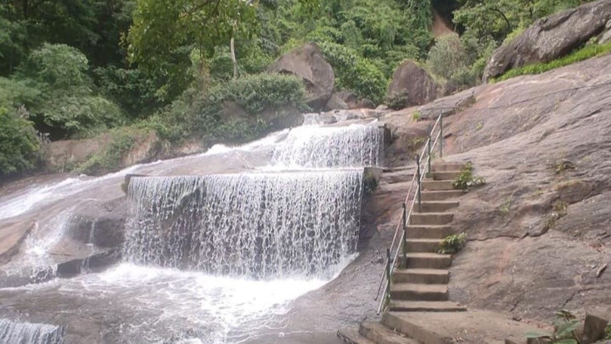 Forester suspended for ticketing scam in Kovai Courtallam, ₹35 lakh recovered