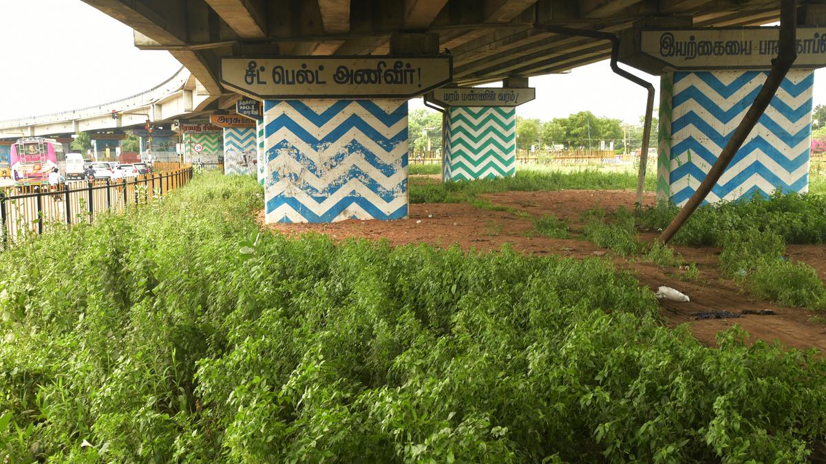 Overgrown greenery mars Tiruchi’s beautified public spaces