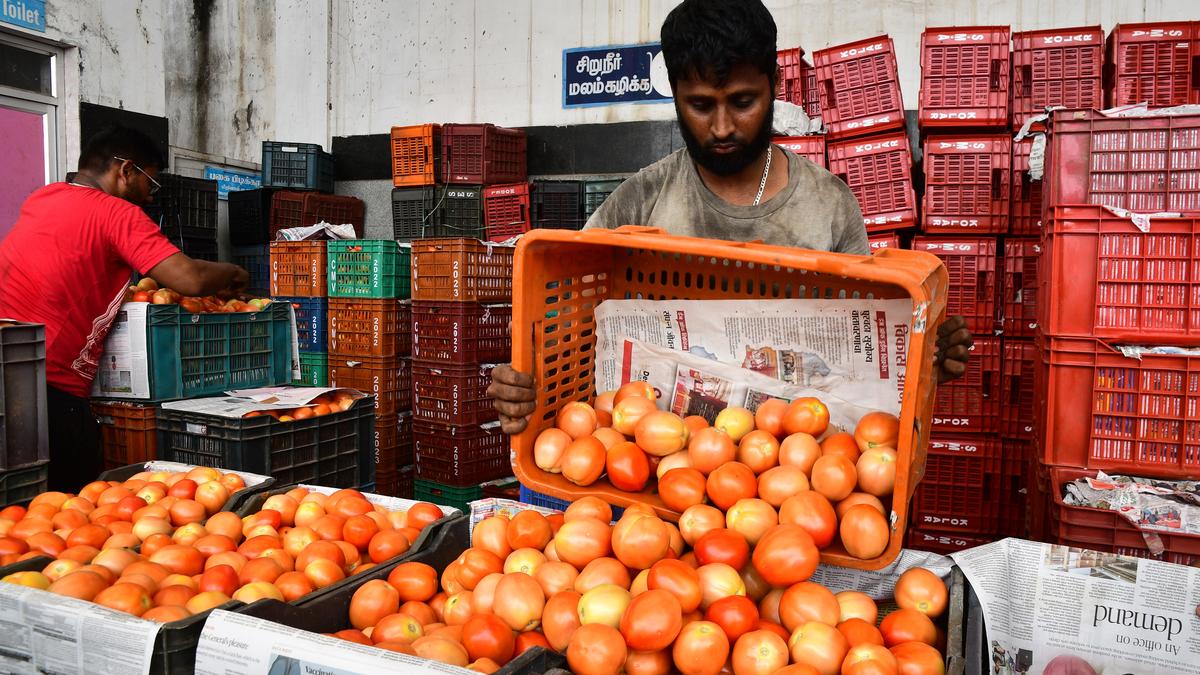 Tomato prices expected to remain high in Coimbatore The Hindu