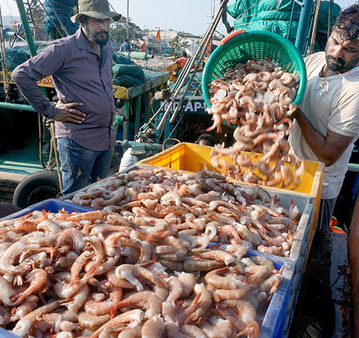 India exports seafood worth ₹63,969 crore - The Hindu