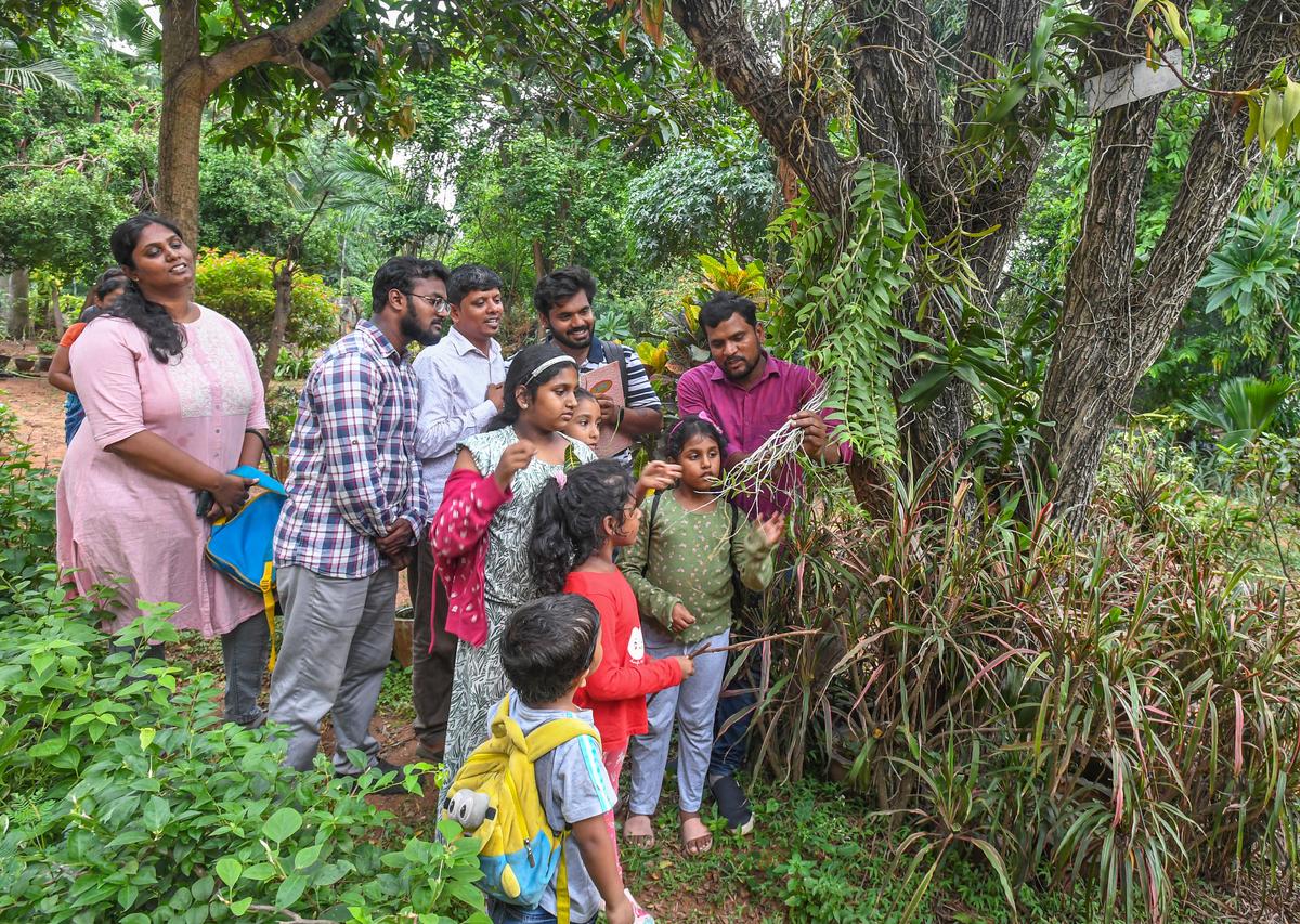 Los visitantes aprenden sobre las plantas medicinales en el jardín botánico del Departamento de Botánica de la Universidad de Andhra en Visakhapatnam. Los visitantes aprenden sobre las plantas medicinales en el jardín botánico del Departamento de Botánica de la Universidad de Andhra en Visakhapatnam.