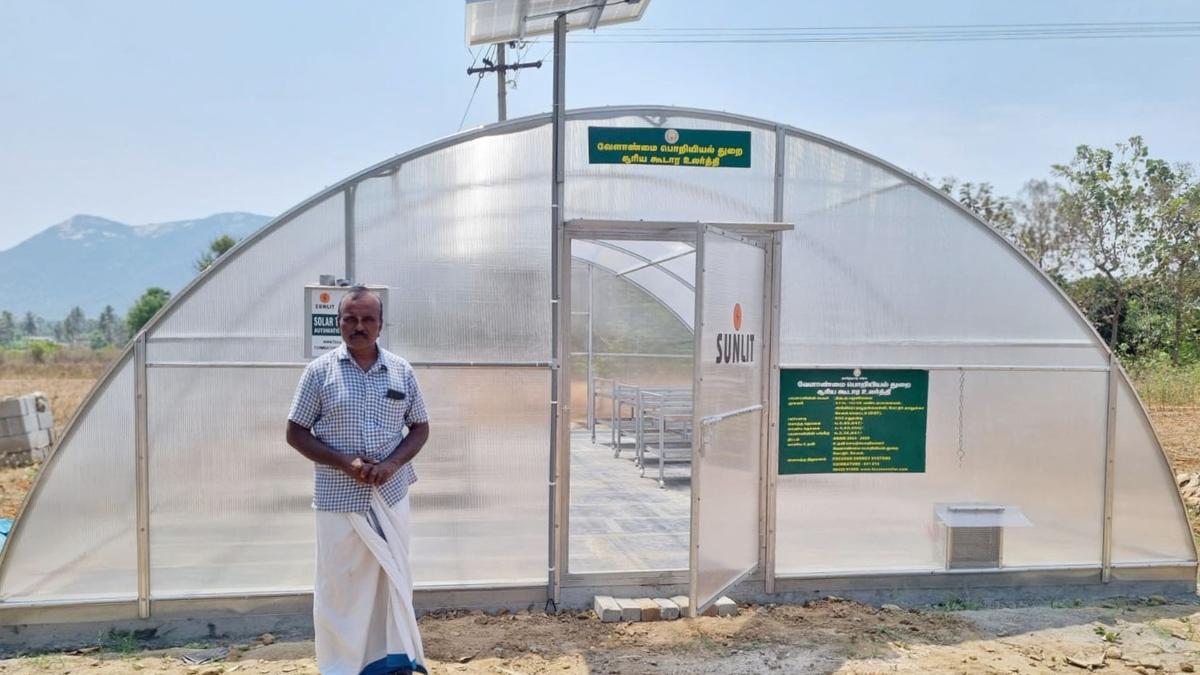 Salem farmers receive ₹34.22 crore in subsidy through AED schemes