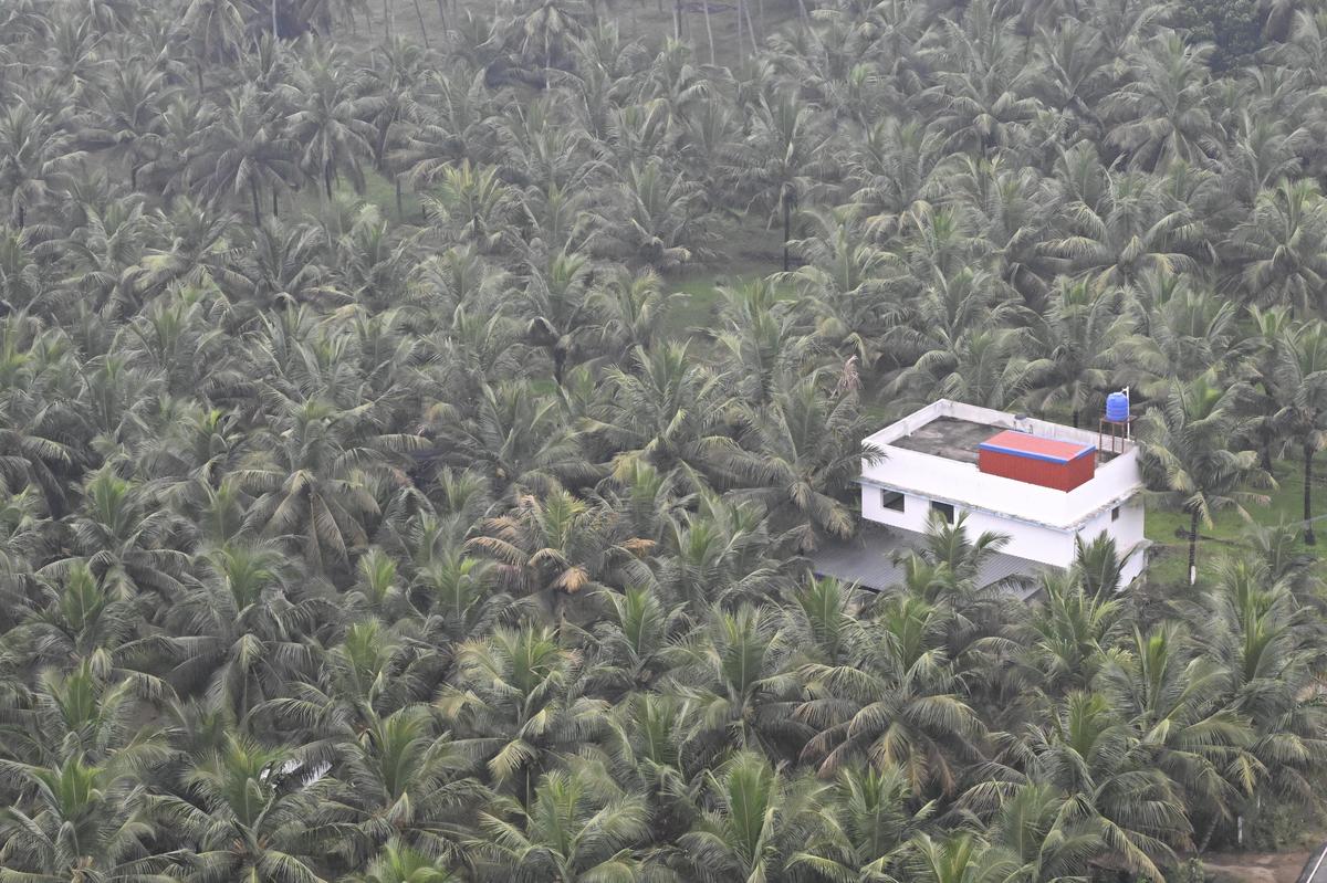 Vedute dei boschi di cocco e delle case con il tetto di tegole di Pollachi 