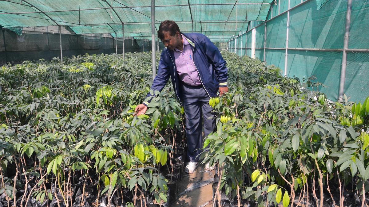 A three-day Bihar Nursery and Green-Tech Conclave 2026 in Patna from March 21