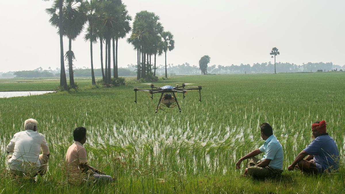 Naidu orders ‘Farm to Home’ model to link Andhra Pradesh farmers directly to consumers