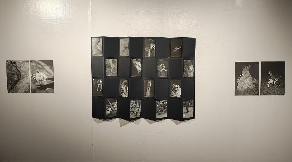Part of Accordion Book Surge Exhibition Part of Accordion Book Surge Exhibition