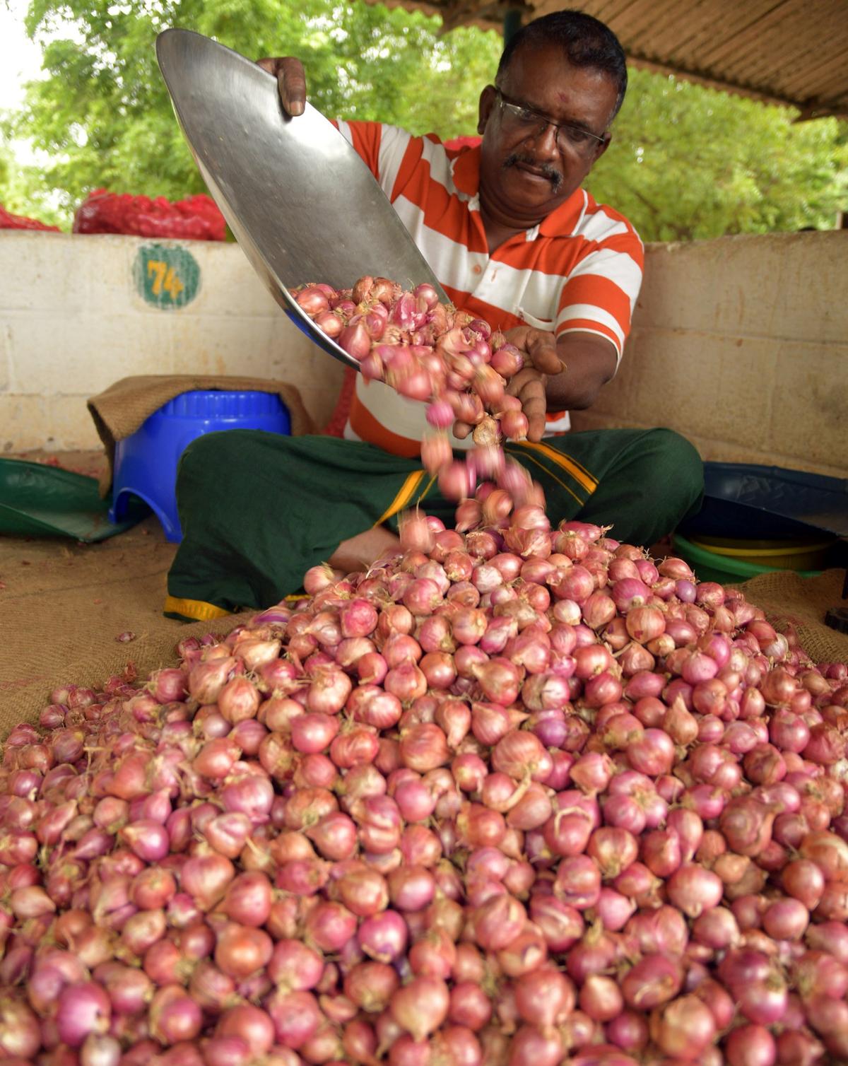 Price of shallot crosses ₹100 a kg in Tiruchi The Hindu
