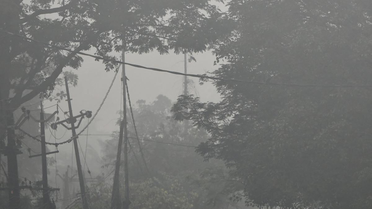 Kochi witnesses foggy mornings