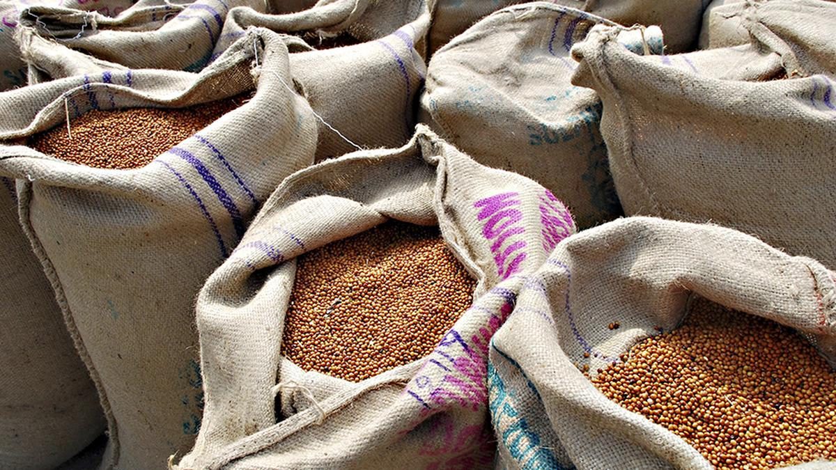 Delayed rains hit cultivation of pulses, prices on the rise