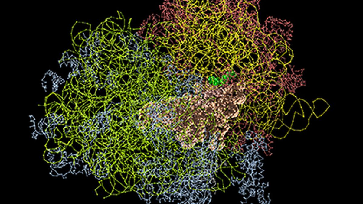 Explained | AlphaFold: A tour de force in science