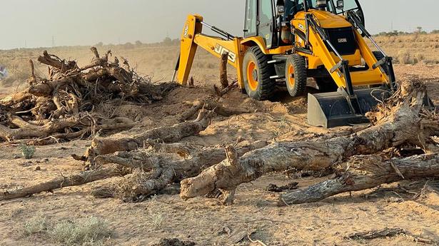 Villagers’ stir against solar plants protects khejri trees