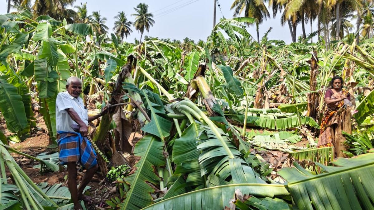 Heavy rain lashes Krishnagiri, wreak havoc