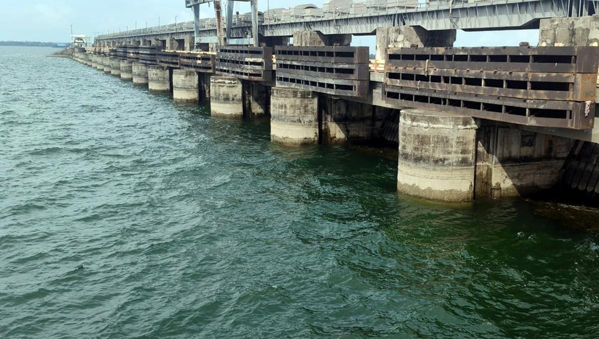 Singur Project with 22 TMC water level in Sangareddy  district. 