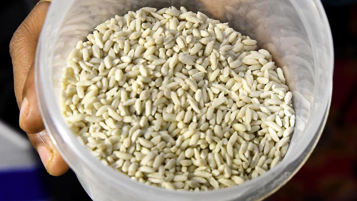 FCI procures 17.5 LMT of fortified rice in 2021-22 in Andhra Pradesh