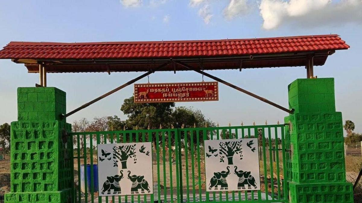 ‘Maragatha Pooncholai’ established in Villupuram and Kallakurichi districts