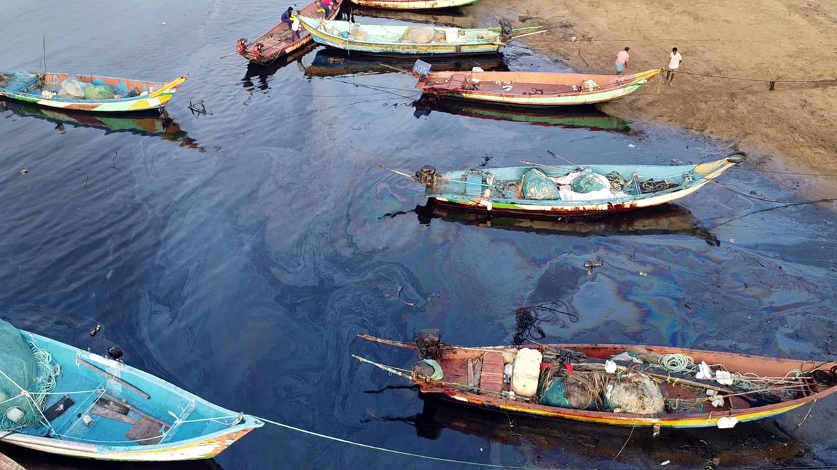 Greater Chennai Corporation officials in talks with Water Resources Department for transporting soil to areas affected by oil spill in Ennore