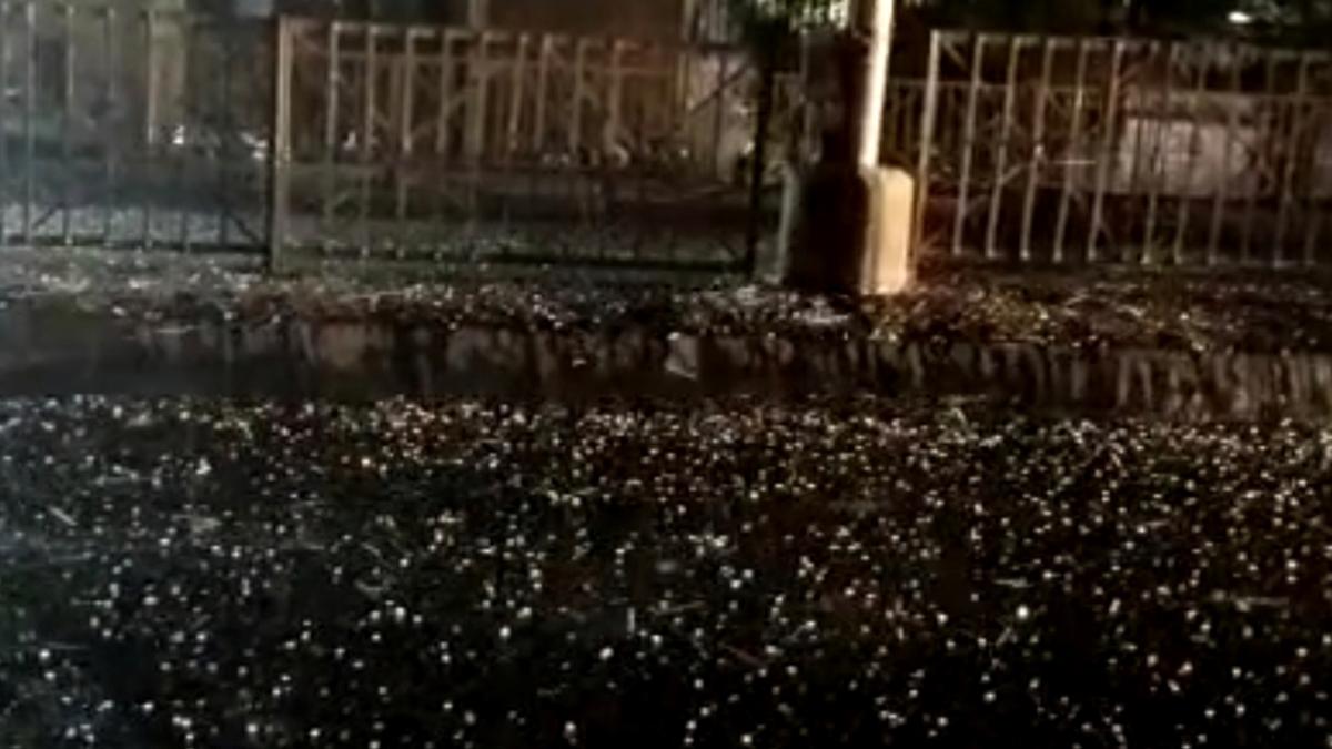 Three members of family electrocuted