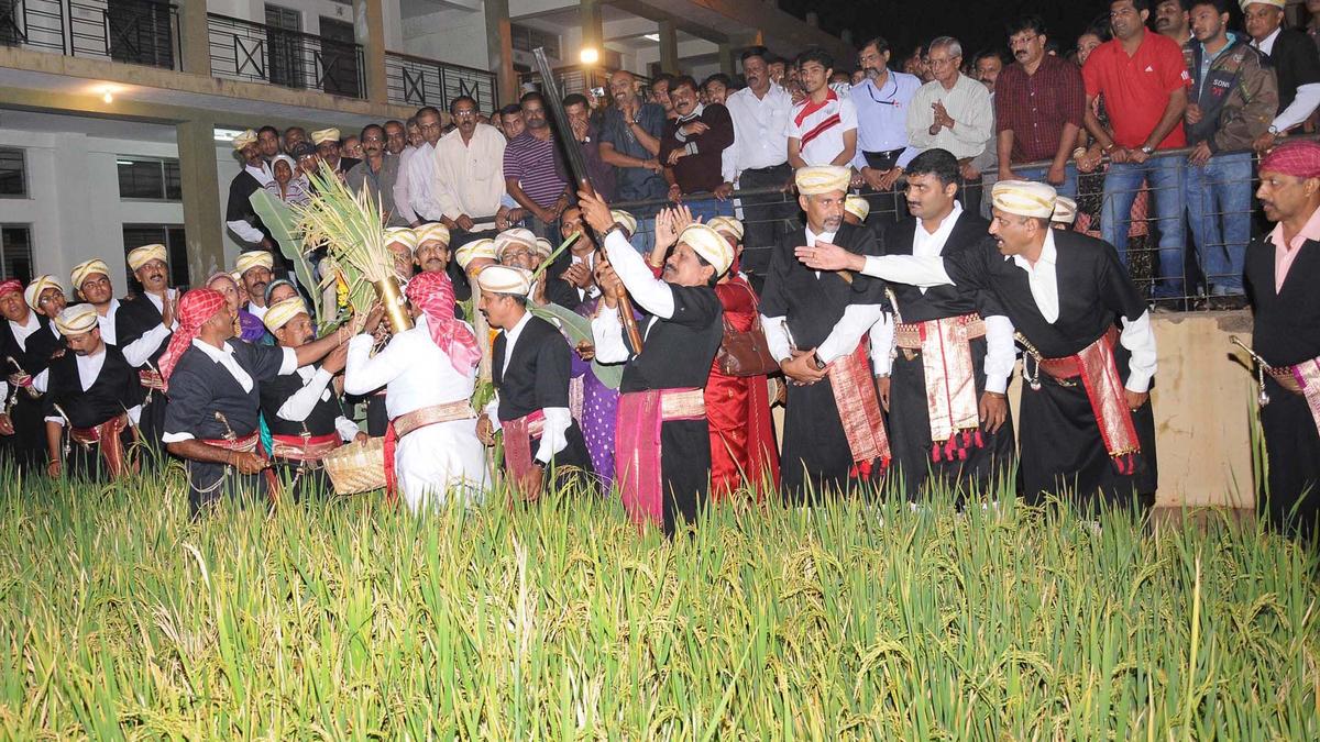 How Kodavas celebrate Puthari, a harvest festival, in Bengaluru