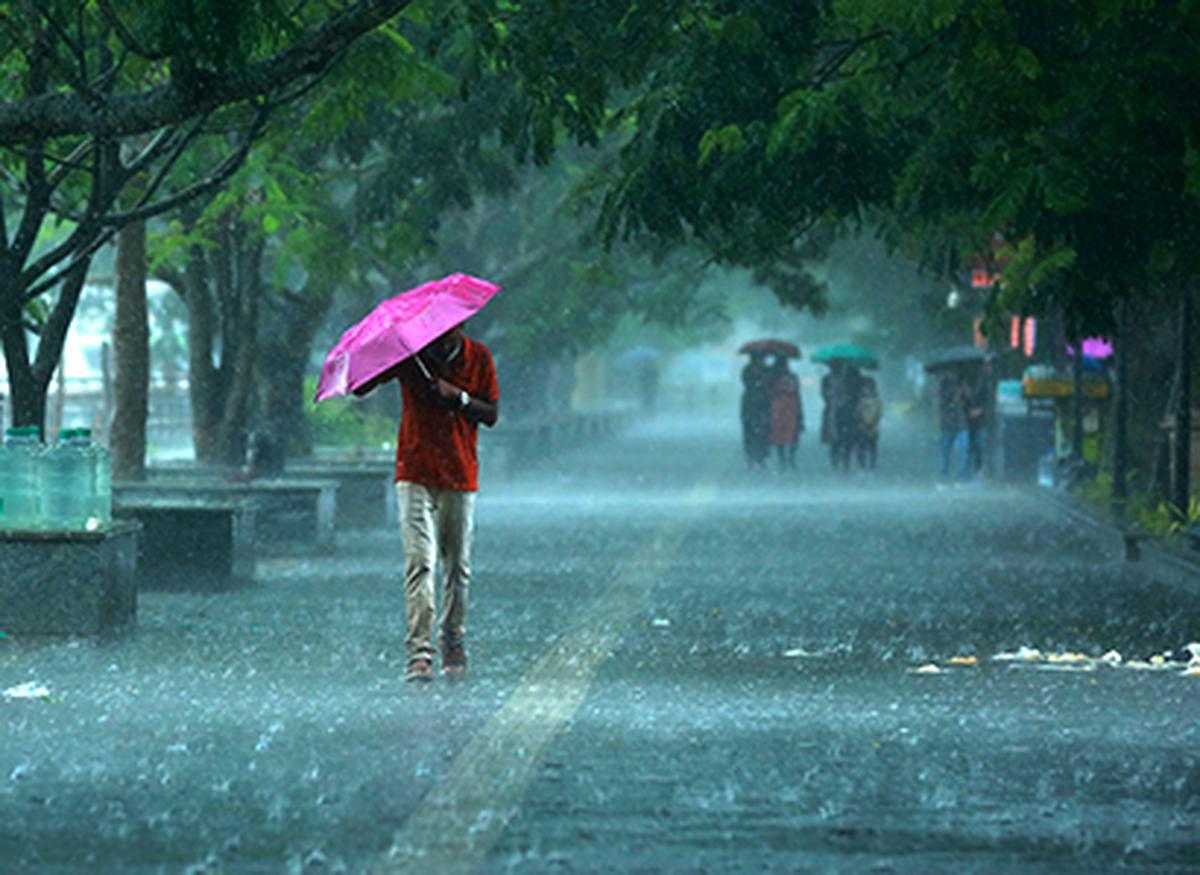 Monsoon arrives three days ahead of normal onset in Kerala - The Hindu