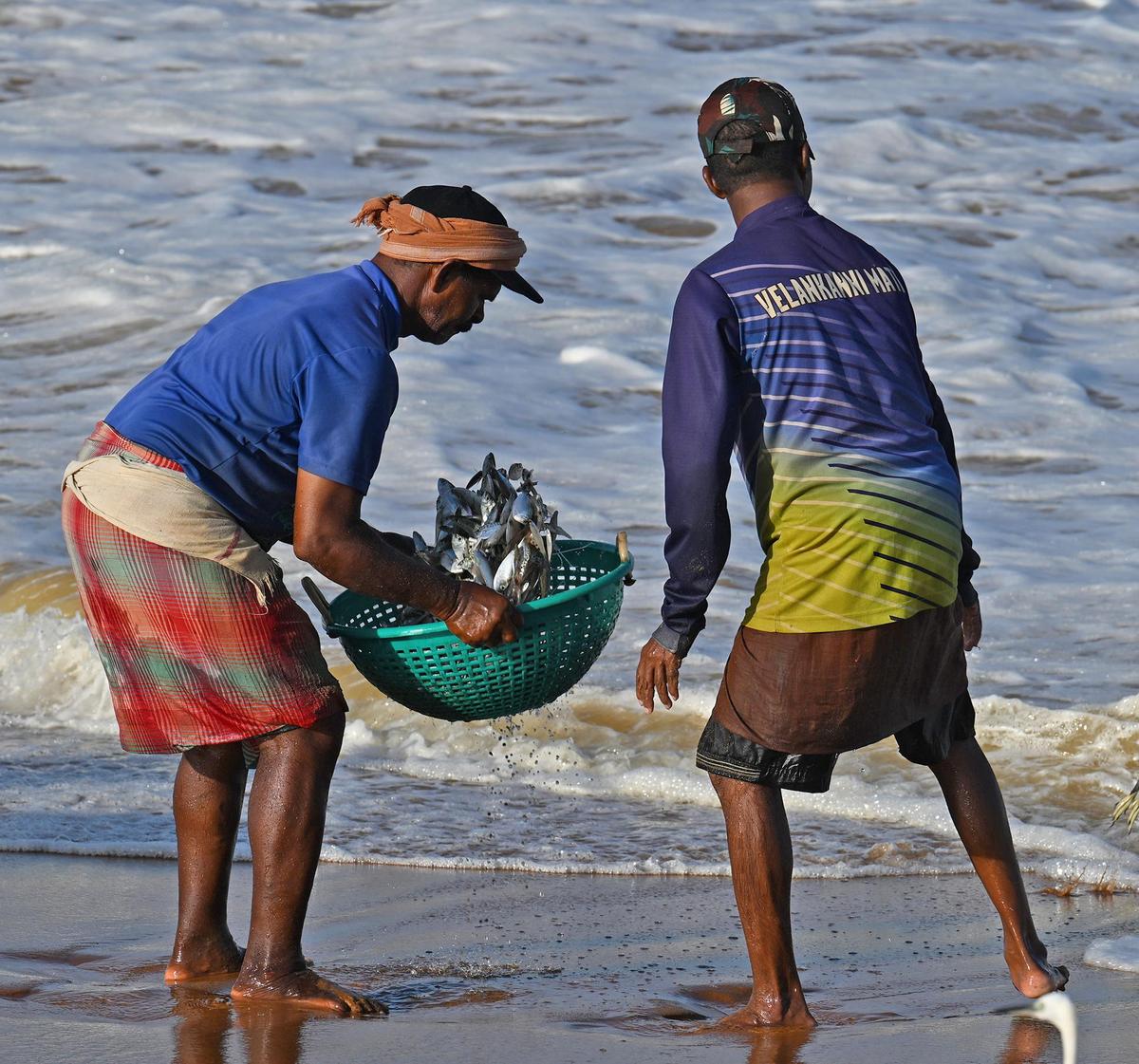 Fishermen rinsing their catch on Shangumugham beach in Thiruvananthapuram. Fishermen rinsing their catch on Shangumugham beach in Thiruvananthapuram.
