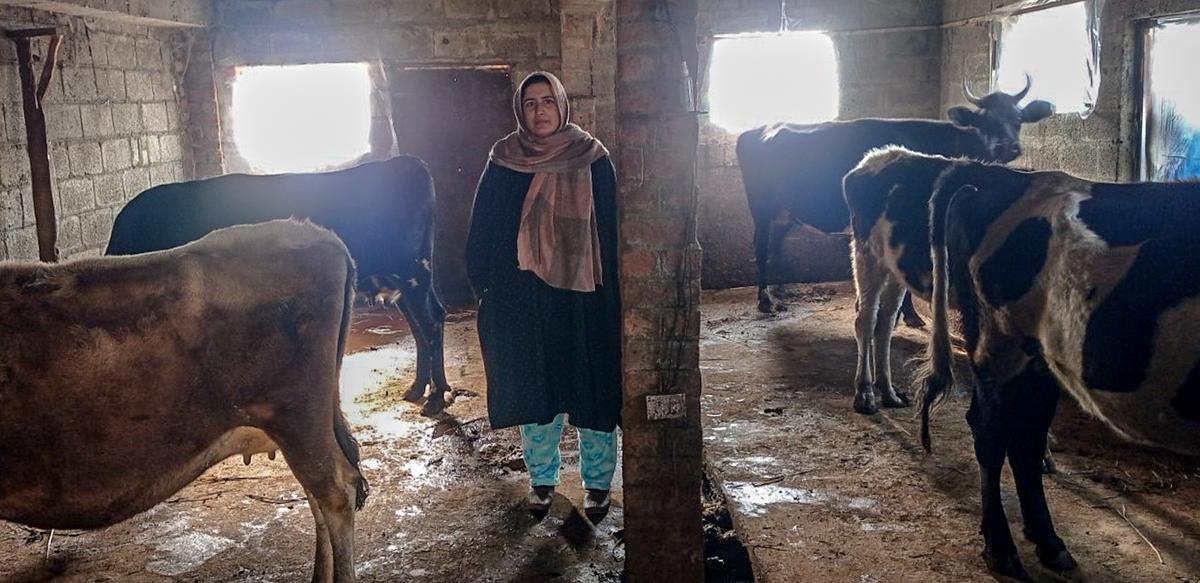 PoK brides lose voting rights after bid to run in J&K polls
Premium