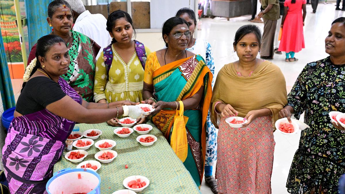 Watermelon pieces distributed at Collectorate