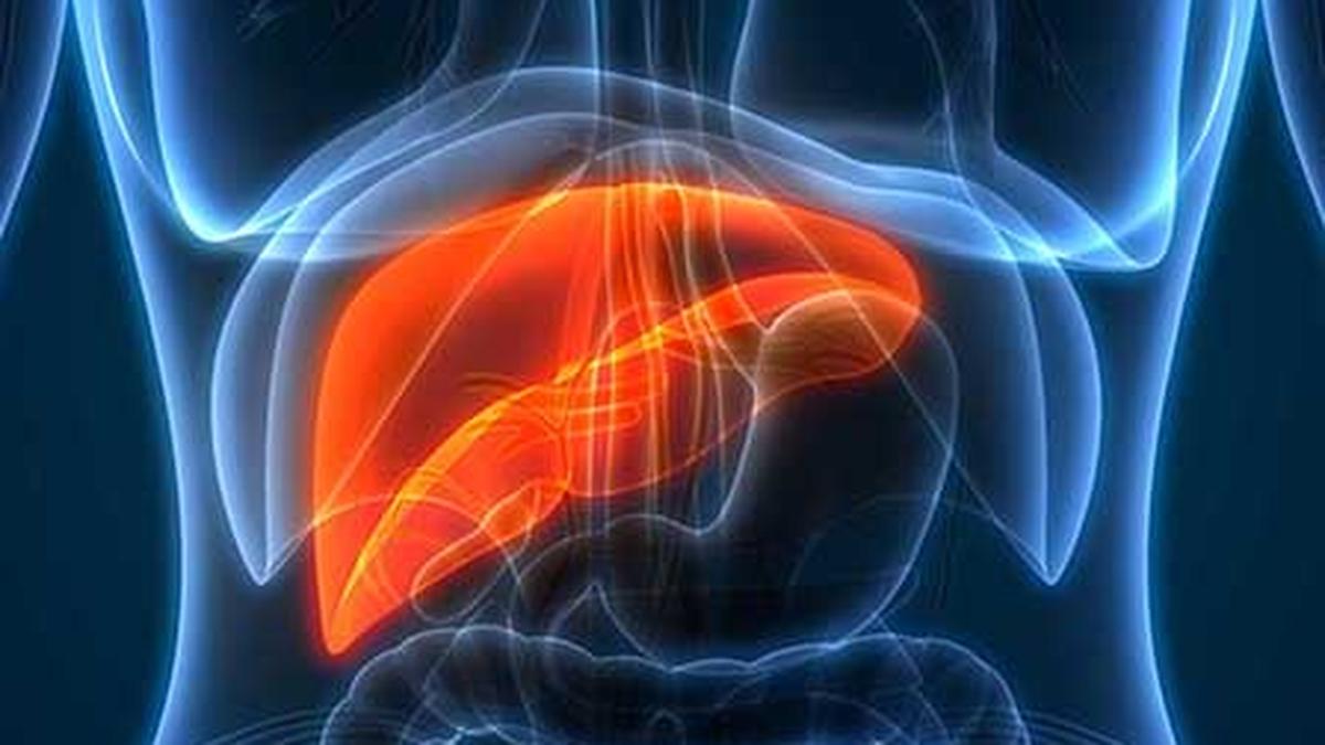 Liver diseases often go undetected; doctors call for early screening and awareness