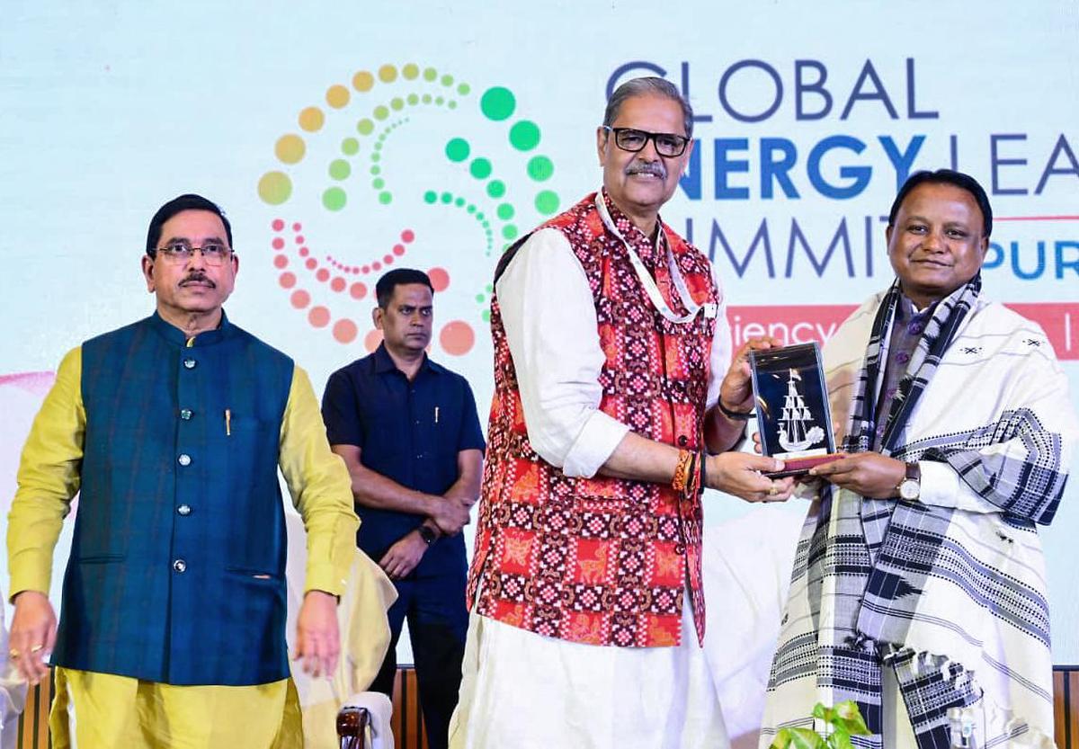 thehindu.com - Satyasundar Barik - India needs a diversified portfolio of future-ready power system technologies, say experts