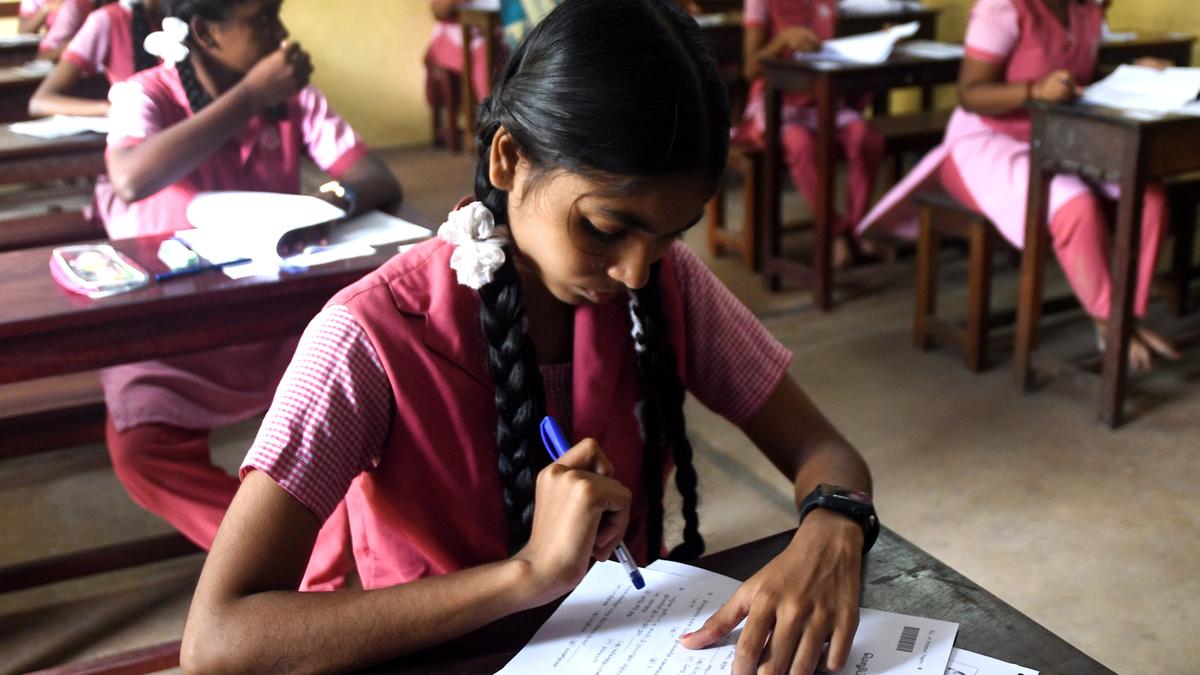 Over 4,000 schools in T.N. to take part in National Achievement Survey 2024