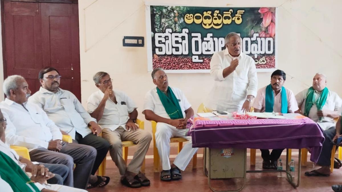 Andhra Pradesh cocoa farmers demand State Board, protest price fall