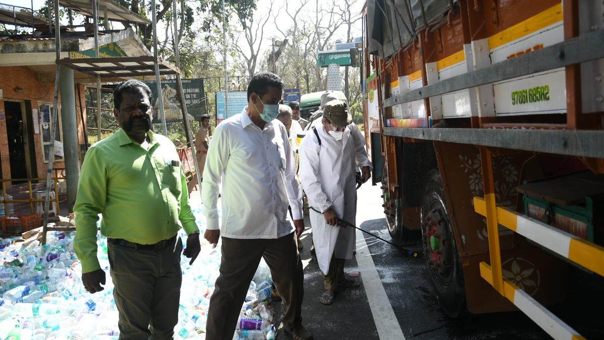 Pig farms outside African Swine Fever infected area in Nilgiris allowed to sell pork