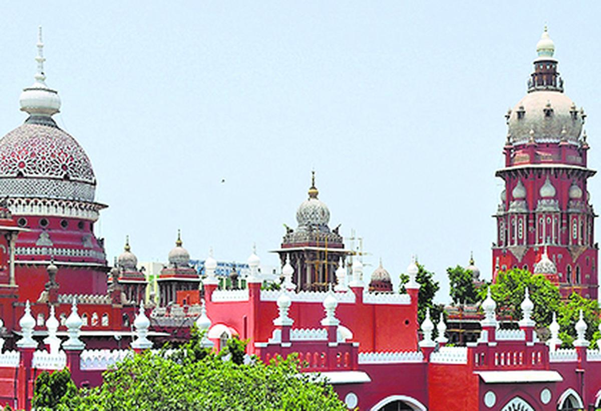 Protection from revealing identity must be extended to all victims of sexual offences; not just rape and POCSO Act cases, T.N. govt. tells Madras HC - The Hindu