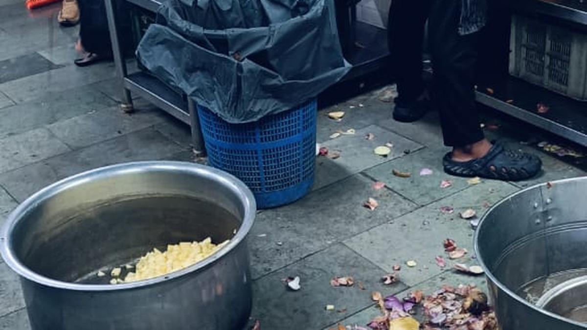 Rat faeces, cockroach infestation observed at hospital canteen in Kukatpally