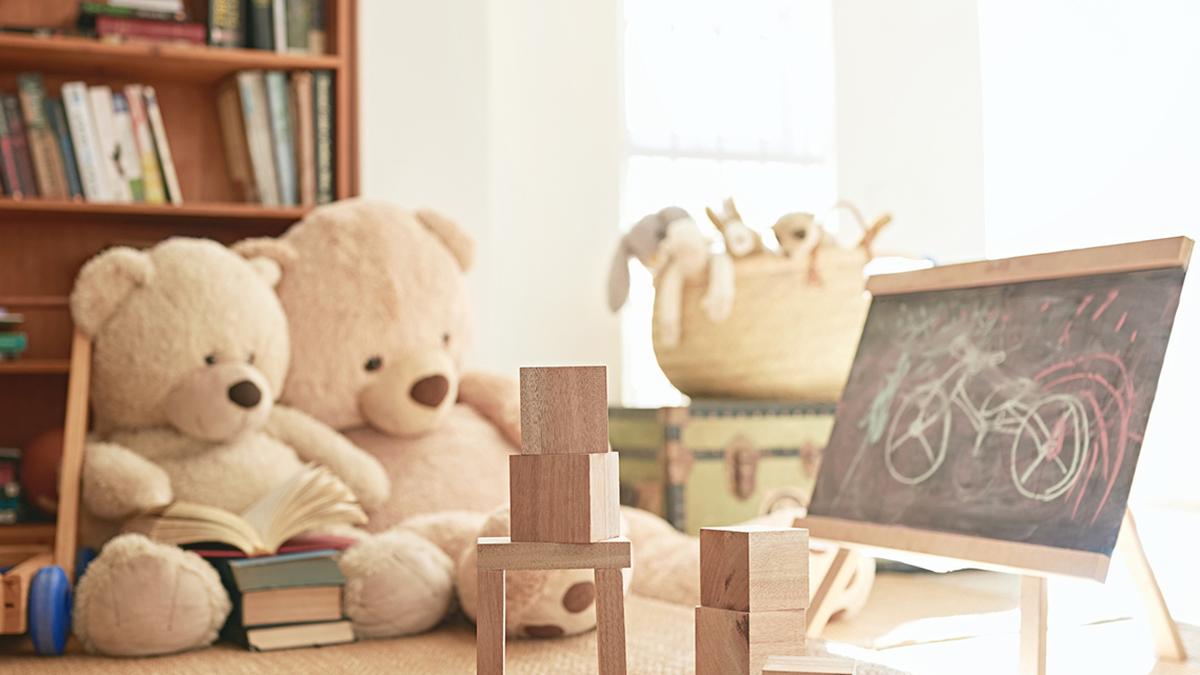 BIS raids baby product brand’s warehouse in Bengaluru for selling substandard products; goods worth ₹1.43 cr. seized