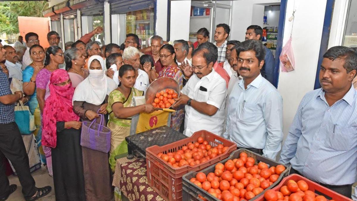 Sale of tomatoes begins in 14 fair price shops in Salem city