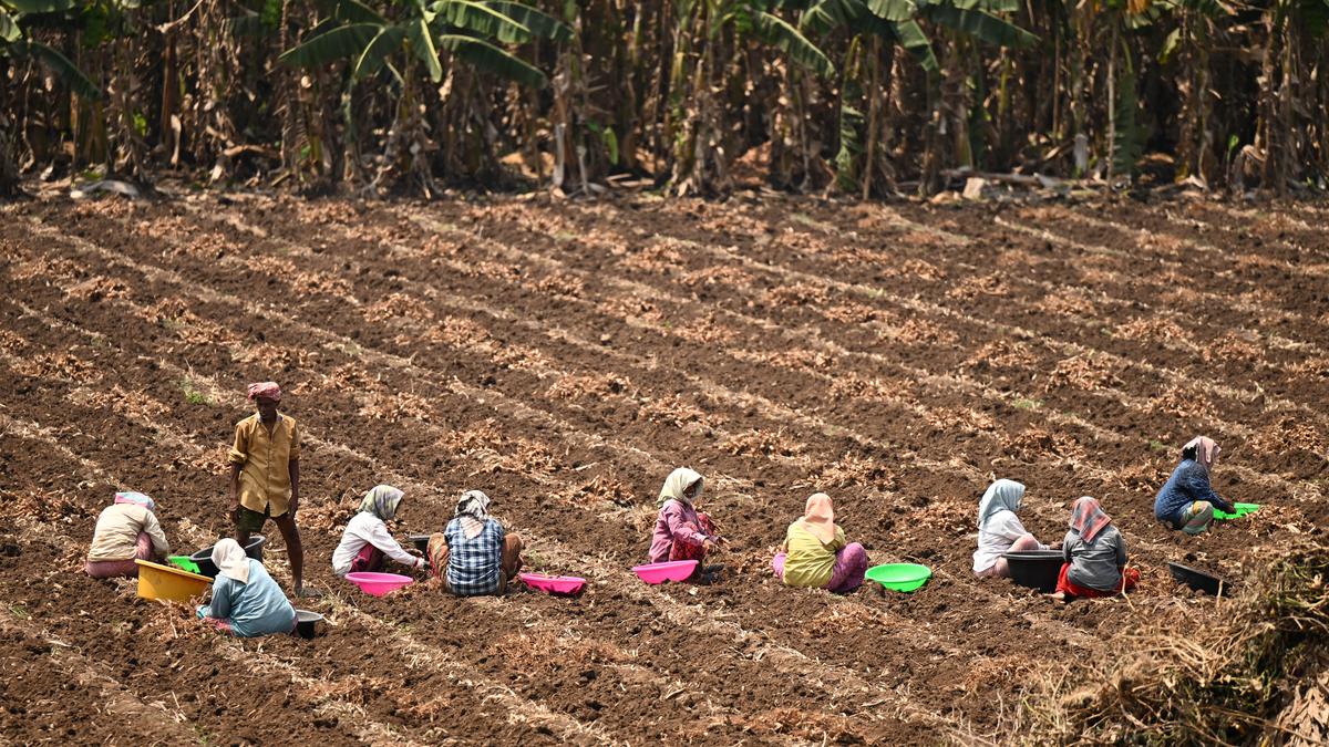 The Chennai summer and our field workers