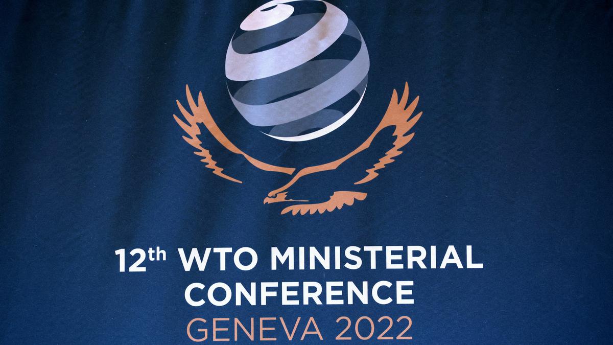 WTO makes final push for trade deals, with eyes on defiant India