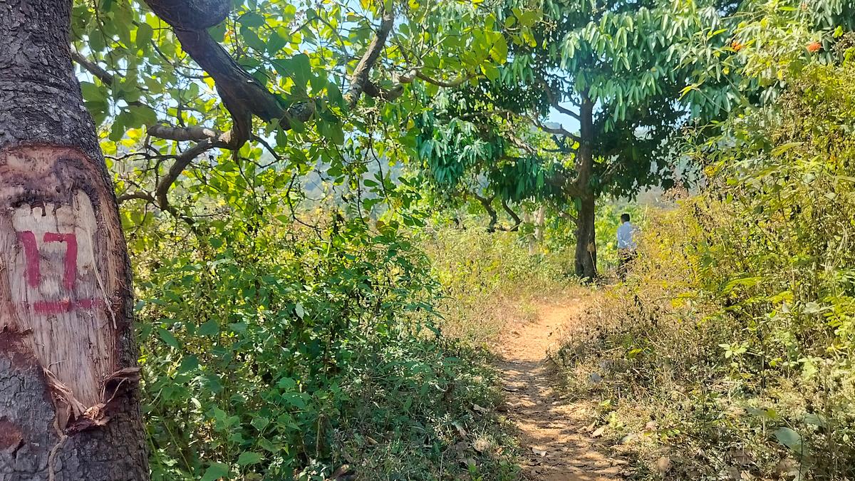 Site inspection report disfavours Sharavathi project