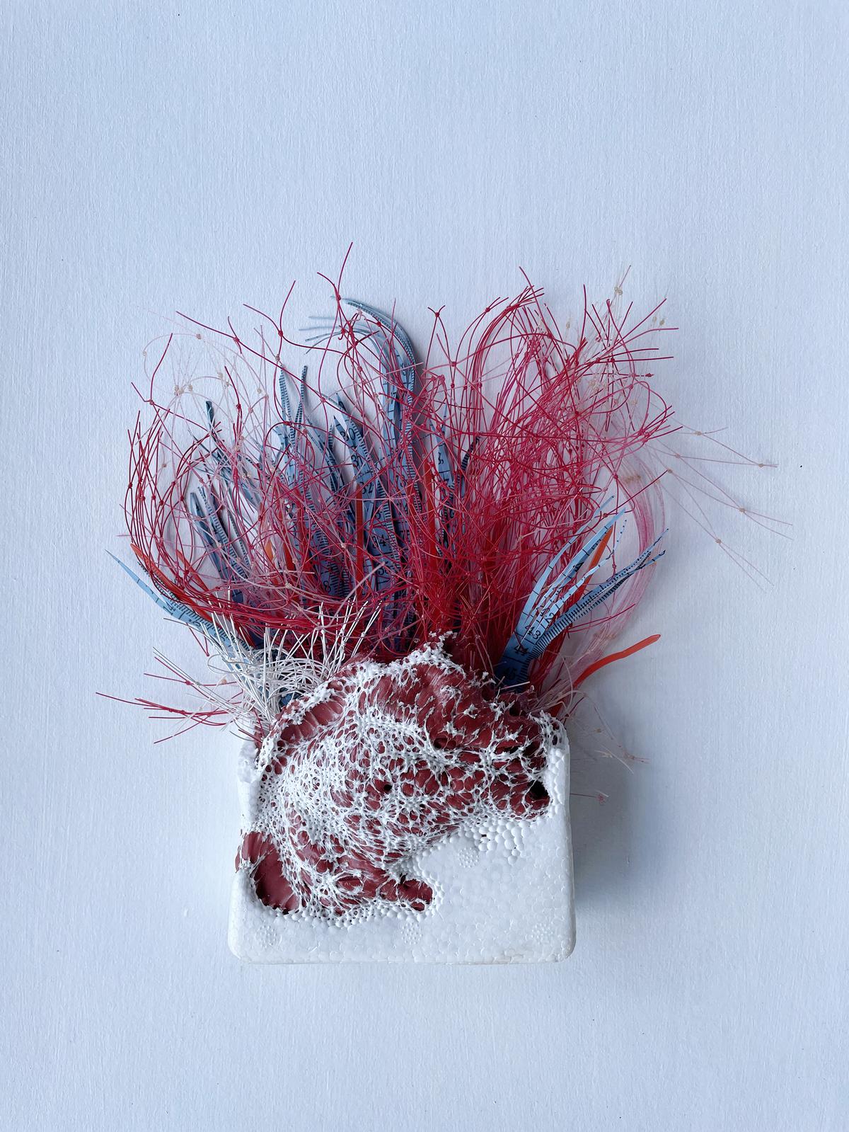 Chinmoyi Patel’s ‘REM[A]INDER’ - made using waste plastic, styrofoam, used fishing net, cloth and thread.