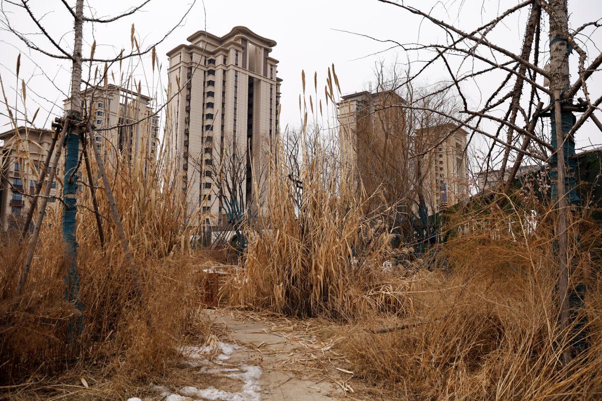 A view of an unfinished residential compound developed by China Evergrande Group in the outskirts of Shijiazhuang, Hebei province, China February 1, 2024. A court ordered the liquidation of the property developer who has plunged China into a real estate crisis.