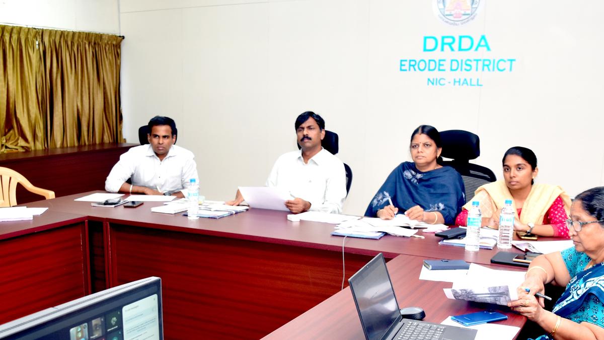 11.25 lakh palm seeds to be planted in Erode