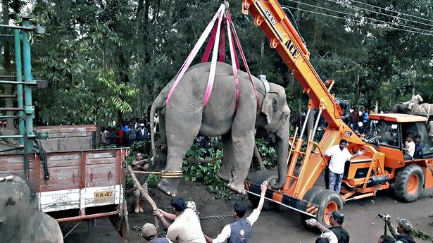 Planter dies in elephant attack in Sakleshpur Karnataka