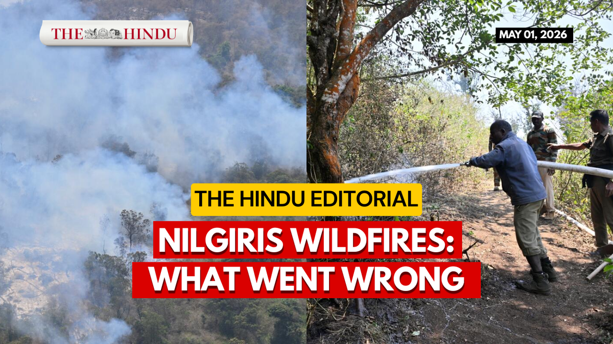 Why wildfires intensified across Nilgiris forests