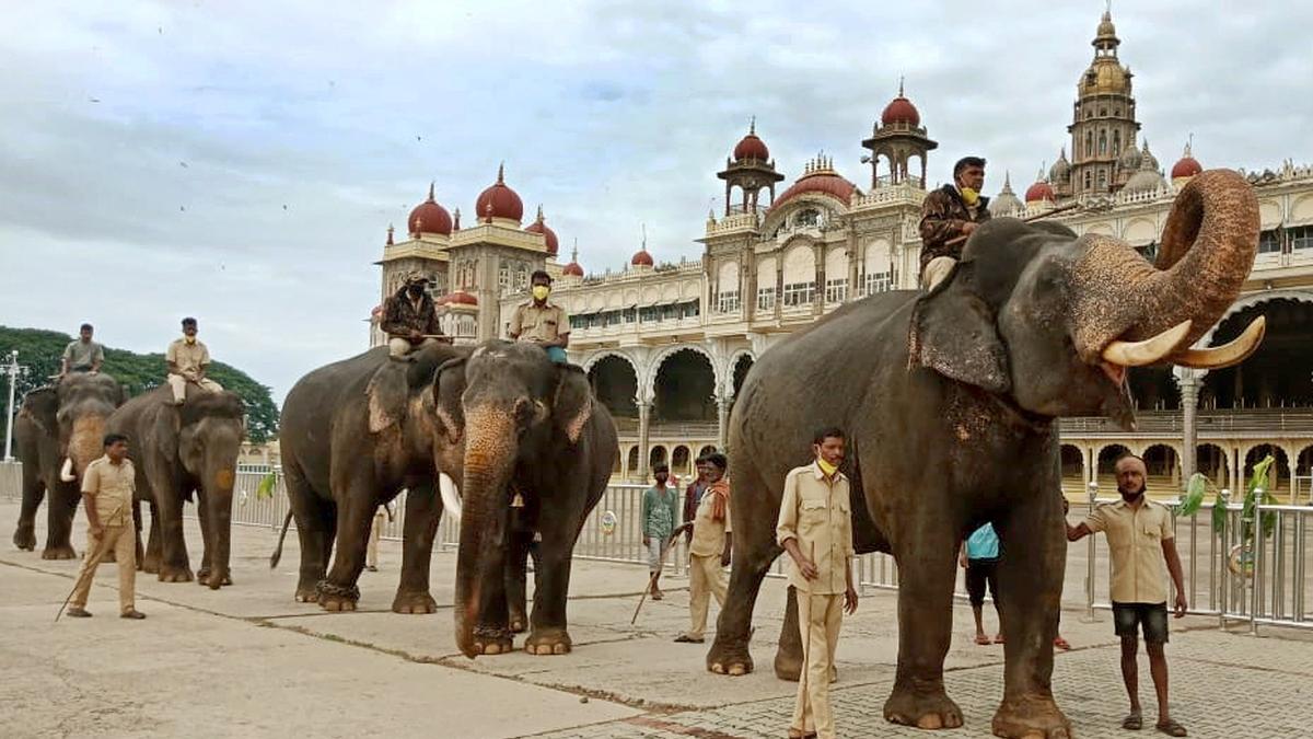 Abhimanyu is howdah jumbo, other elephants finalised