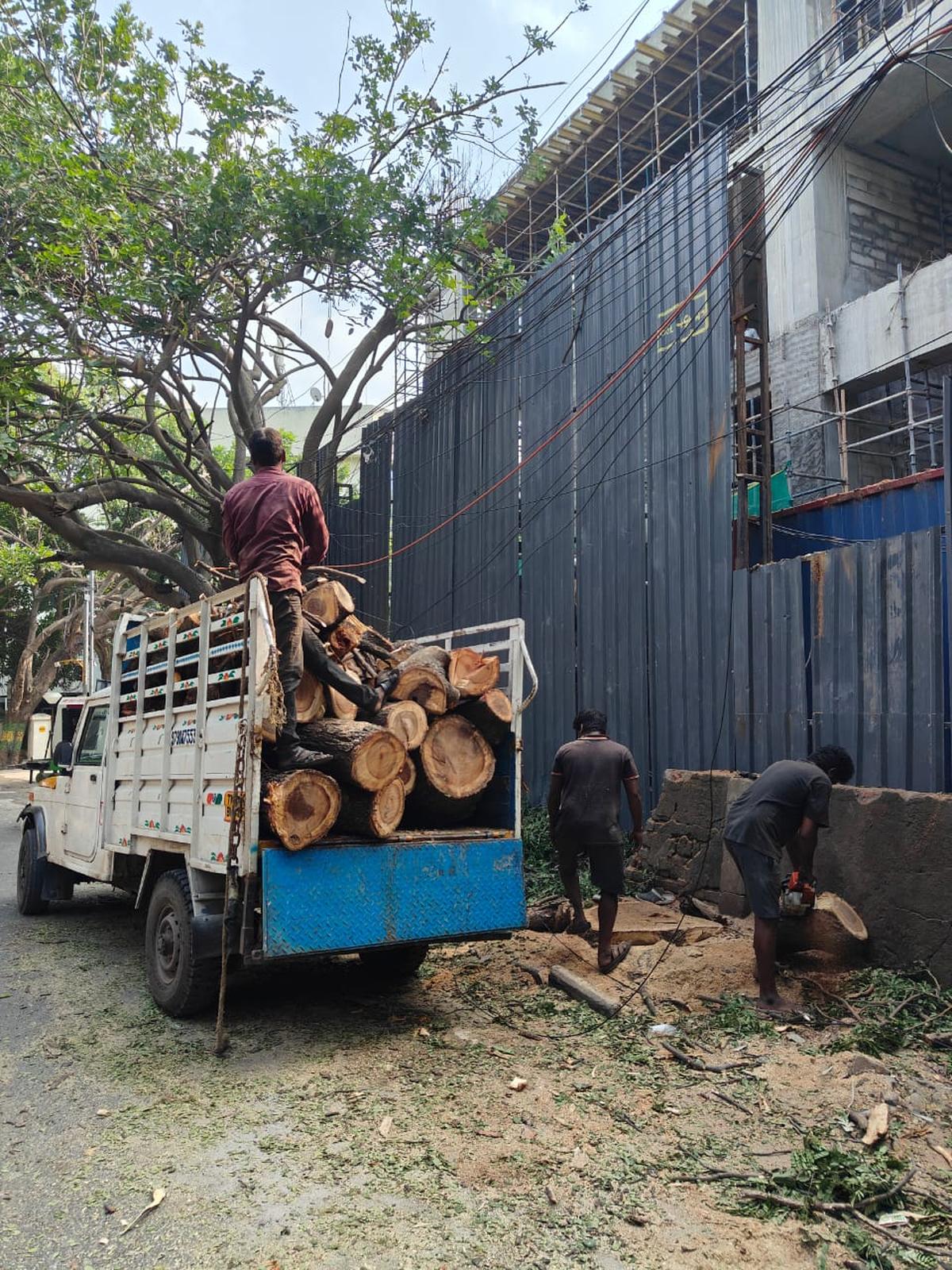 Kayu gelondongan dibawa pergi