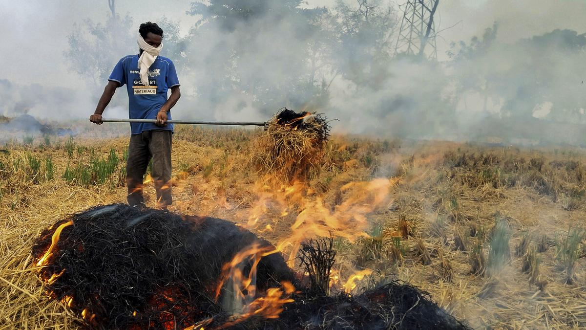 Stubble burning on the rise in Punjab and Haryana; Delhi’s air quality dips