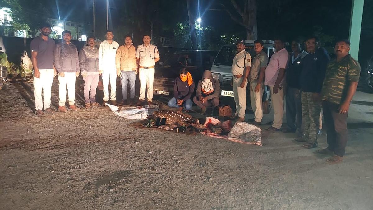 Forest officials face pressure from politicians to go easy on possession of wildlife articles in Karnataka