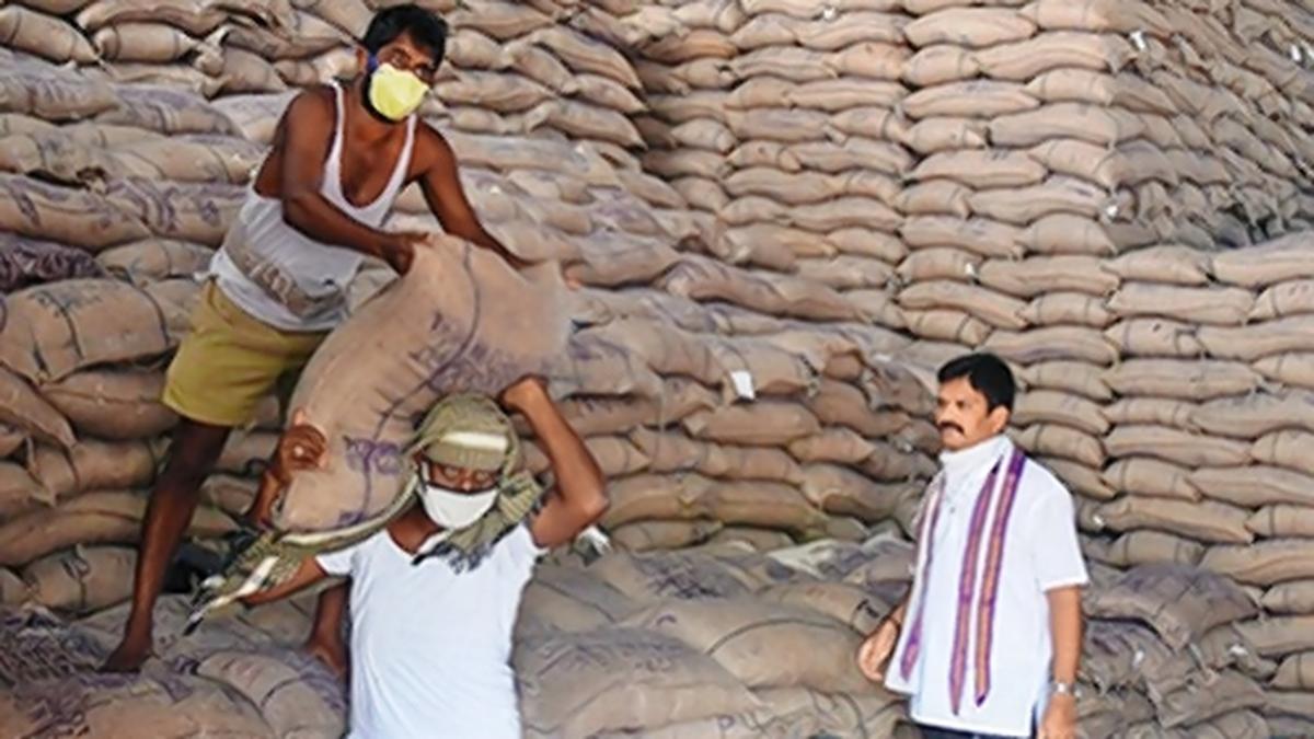 RBI annual report 2023-2024: MSPs for kharif and rabi crops ensured minimum return of 50% over cost of production