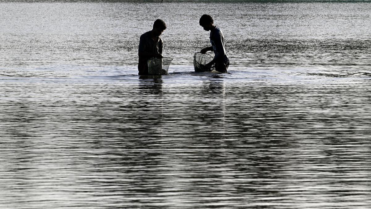 Kerala govt approves use of dredged soil from Vembanad Lake for NH 66 construction in Alappuzha