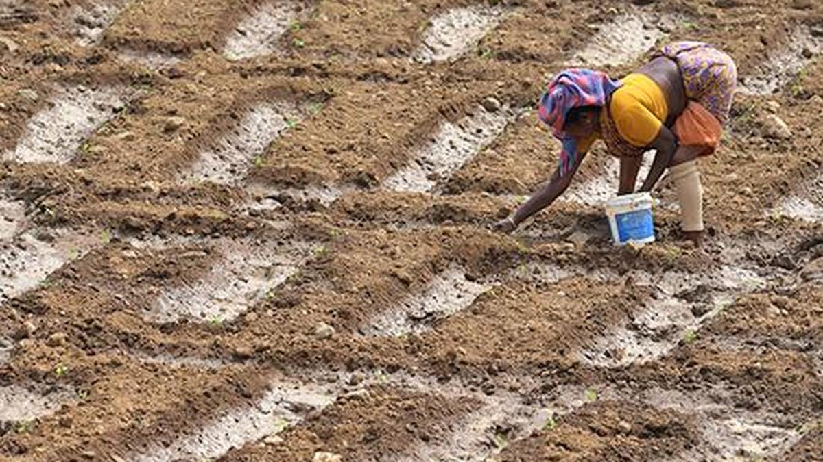 Gender, agriculture and climate change